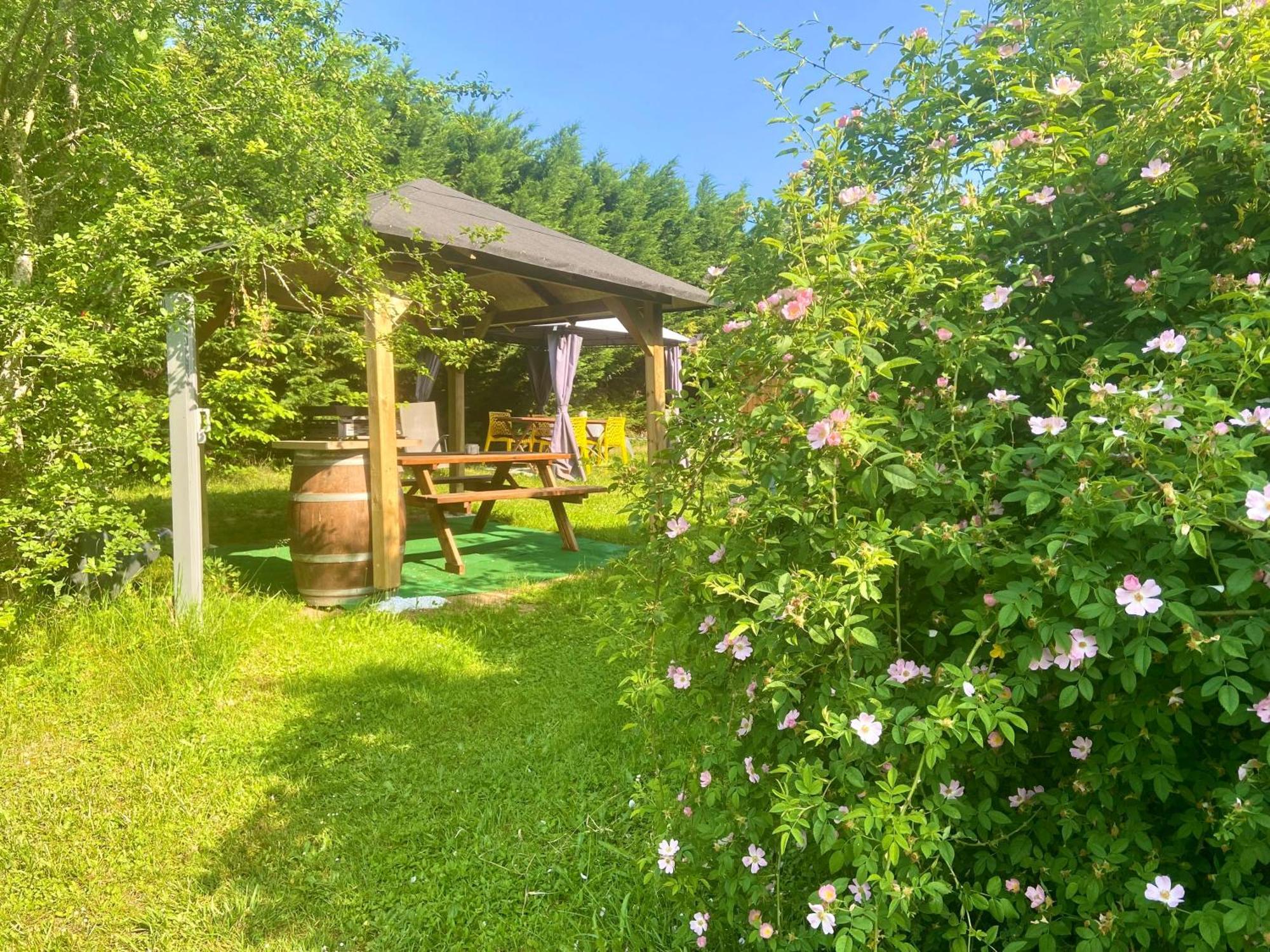 O Clair De Lune Au Coeur De Sarlat - Chambres Climatisees - Parking Prive - Piscine Chauffee - Spa Et Massages 외부 사진