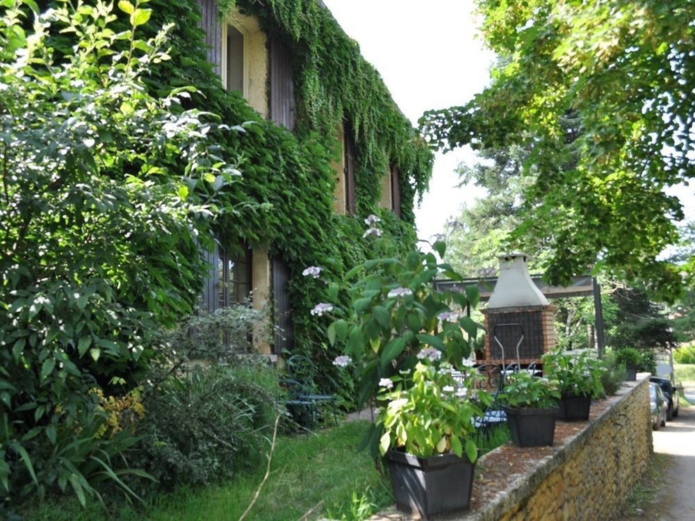 O Clair De Lune Au Coeur De Sarlat - Chambres Climatisees - Parking Prive - Piscine Chauffee - Spa Et Massages 외부 사진